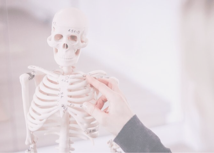Bodymind Ratingen – Physiotherapie – Kompetente Schmerztherapie Bodymind Ratingen - Physiotherapie und Schmerztherapie